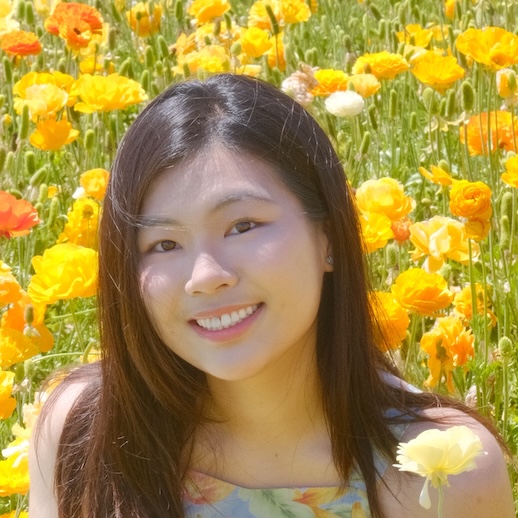 Profile picture for Lulu Shao